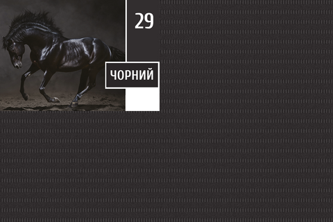 Нагрудники стоматологічні Чорний 33х43см N1040 фото